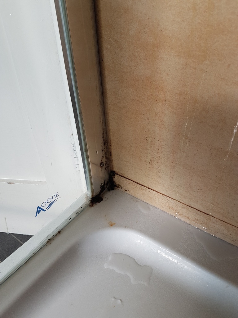 Mouldy Porcelain Shower Cubicle Before Cleaning Osmotherley